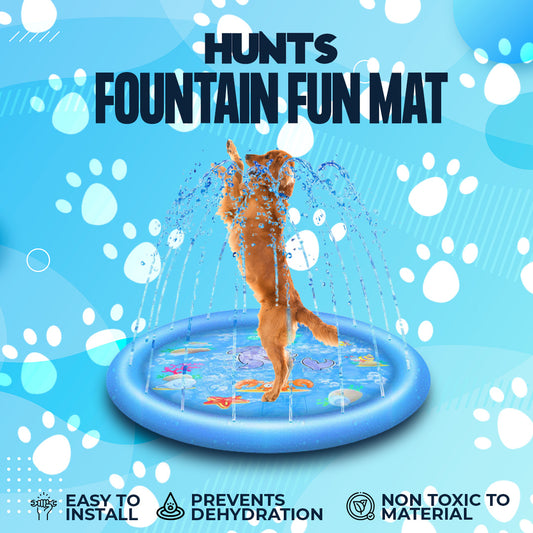 Fountain Fun Mat