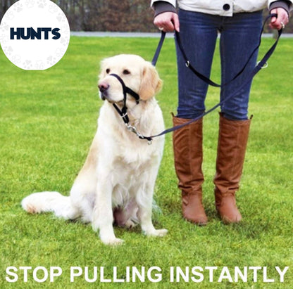 Anti-Pull Harness