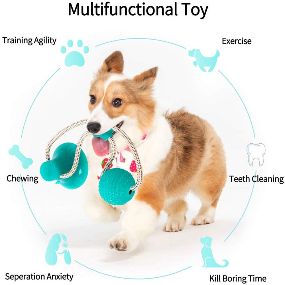 Suction Cup Pet Chew Toy